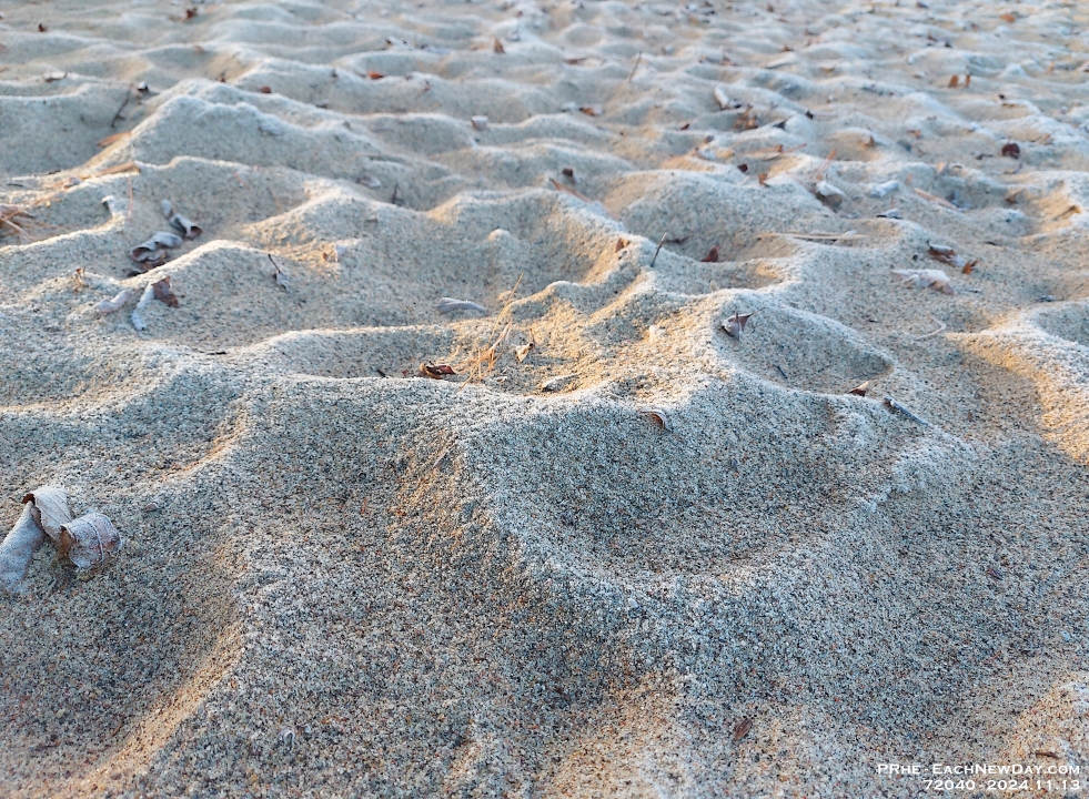 72040CrLeUsm - Walking with Chester - The sand pit in Clayt French Park